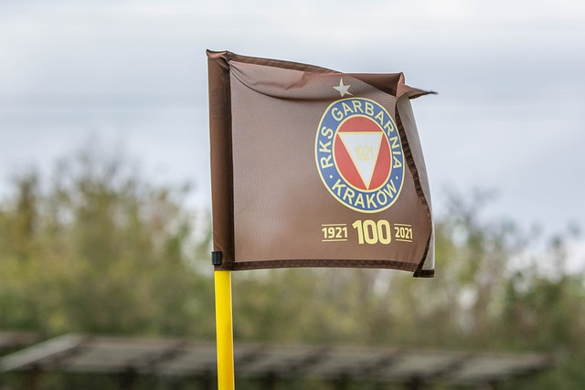 还频频穿针 还频频穿针