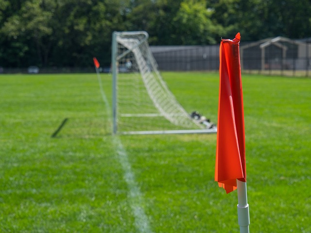 的参与文化 的参与文化