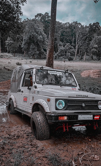 专业正是解 专业正是解