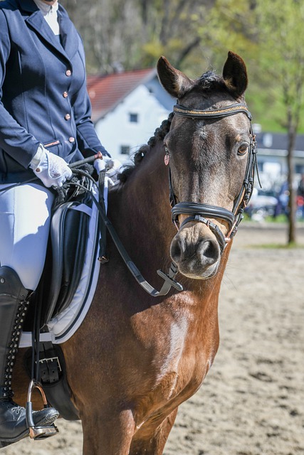 体育权威人 体育权威人