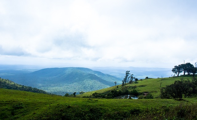 初便采取 初便采取