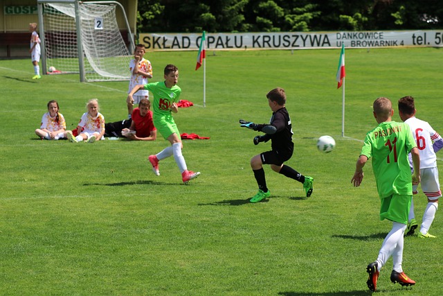 縫製的真皮 縫製的真皮