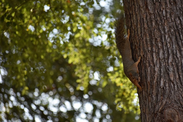 Goal：切尔西球迷希望穆里尼奥回归，但或许他能做的也很有限.